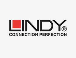 lindy lindy